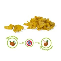 ANANAS CRUNCHY FRUIT BIO - 100% Ananas Biologiques Lyophilisées -Aptitude Équipement ananas crunchy fruit bio 100 ananas biologiques lyophilisees 2