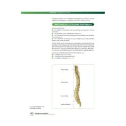 Anatomie Du Footballeur - 4TRAINER Editions 10 Anatomie Du Footballeur - 4TRAINER Editions -Aptitude Équipement anatomie du footballeur 4trainer 2