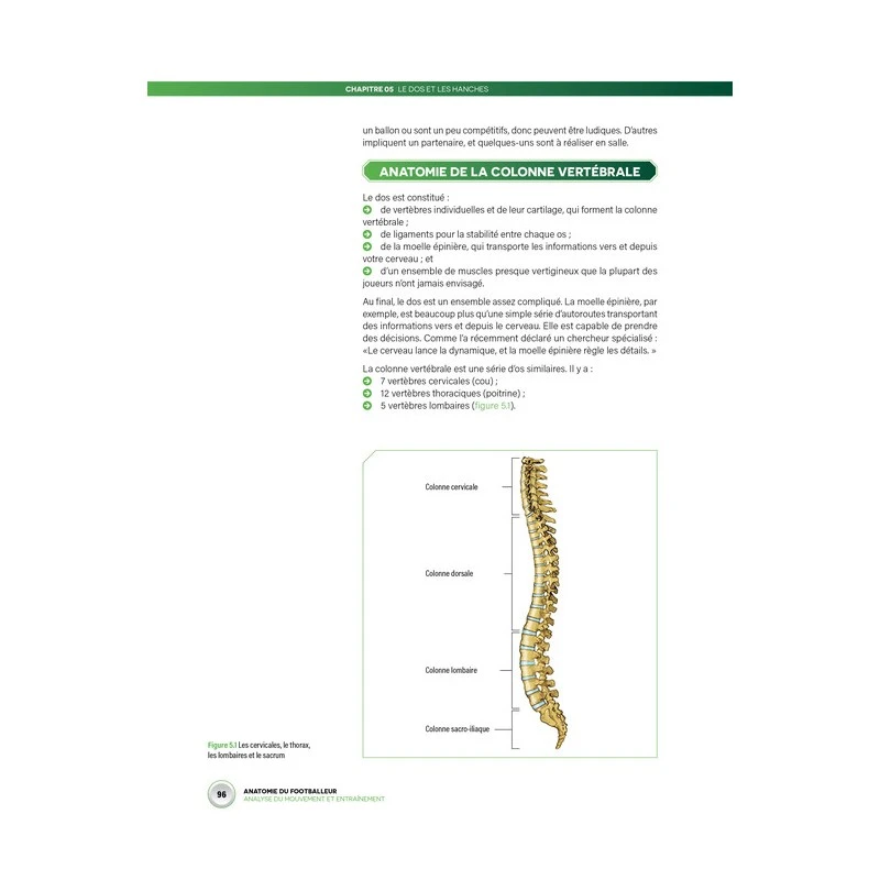 Anatomie Du Footballeur - 4TRAINER Editions 5 Anatomie Du Footballeur - 4TRAINER Editions – Image 3