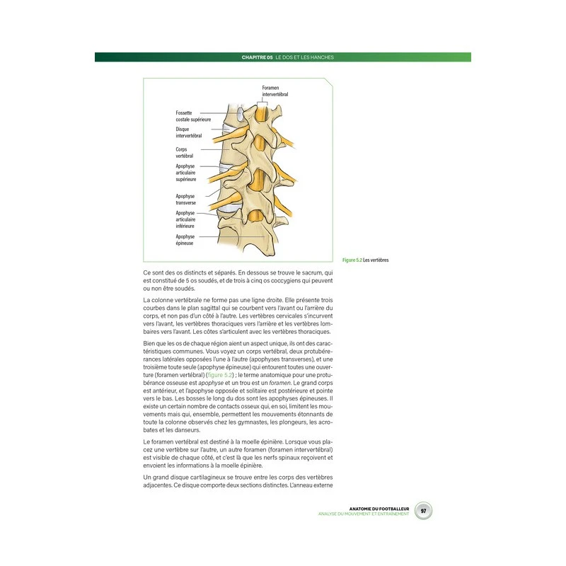 Anatomie Du Footballeur - 4TRAINER Editions 6 Anatomie Du Footballeur - 4TRAINER Editions – Image 4