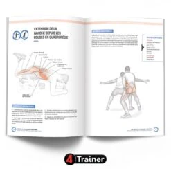 ANATOMIE ET ENTRAÎNEMENT FONCTIONNEL - 4Trainer Editions -Aptitude Équipement anatomie et entrainement fonctionnel 4trainer editions 3