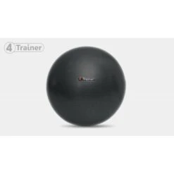 BALLON SUISSE 65CM NOIR Anti-éclatement 4Trainer