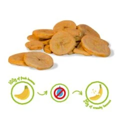 BANANE CRUNCHY FRUIT BIO - 100% Bananes Biologiques Lyophilisées -Aptitude Équipement banane crunchy fruit bio 100 bananes biologiques lyophilisees 2