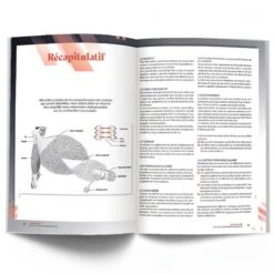 COACHING ULTIME - Les Clés De L'Entraînement Individualisé - 4Trainer Editions 15 COACHING ULTIME - Les Clés De L'Entraînement Individualisé - 4Trainer Editions -Aptitude Équipement coaching ultime les cles de l entrainement individualise 4