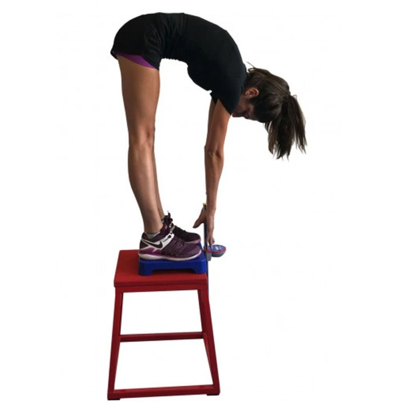 Flexomètre Avant Takei 4 Flexomètre Avant Takei – Image 2