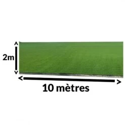 Gazon Synthétique En Rouleau - 10m Ou 20m - Vert -Aptitude Équipement gazon synthetique rouleau 2