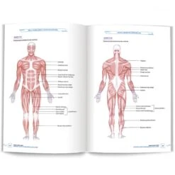 Guide Du Sport Santé - 4Trainer Editions -Aptitude Équipement guide du sport sante 4trainer editions 10