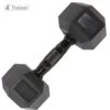 HALTÈRE HEXAGONAL - à L'unité - BL4CK - 4Trainer -Aptitude Équipement haltere hexagonal a l unite bl4ck 4trainer