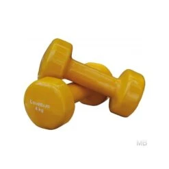 Haltères Epoxy -Aptitude Équipement halteres epoxy 1