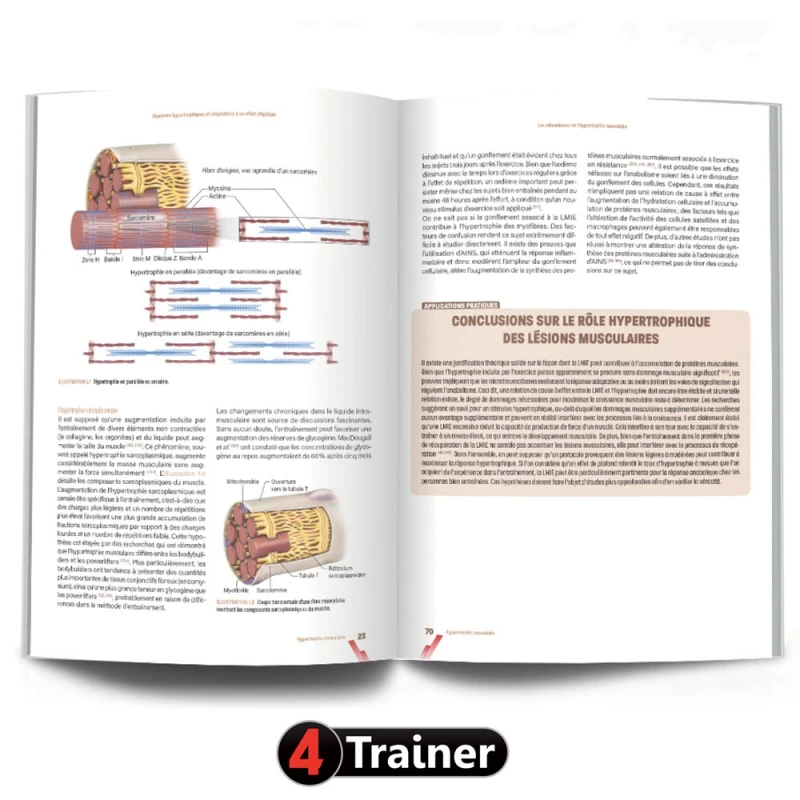 HYPERTROPHIE - 2nde Édition - 4TRAINER EDITIONS 6 HYPERTROPHIE - 2nde Édition - 4TRAINER EDITIONS – Image 4