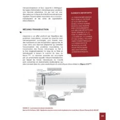 Hypertrophie - 4TRAINER Editions -Aptitude Équipement hypertrophie 3