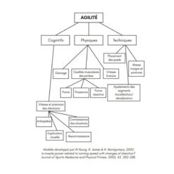 L'agilité Dans Les Sports Collectifs - 4TRAINER Editions -Aptitude Équipement l agilite dans les sports collectifs 4