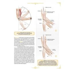 L'Encyclopédie De La Préparation Physique - 4TRAINER Editions -Aptitude Équipement l encyclopedie de la preparation physique 12