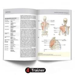 L'Épaule - 4TRAINER EDITIONS -Aptitude Équipement l epaule 4trainer editions 5