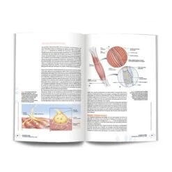 LA PLANIF DE LA FORCE - 4Trainer Editions -Aptitude Équipement la planif de la force 4trainer editions 9