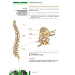La Prépa Physique Rugby - Le Développement De La Force - 4TRAINER Editions -Aptitude Équipement la prepa physique rugby le developpement de la force 4