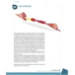 La Prépa Physique Volley-Ball -Aptitude Équipement la prepa physique volley ball 6