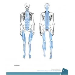 La Prépa Physique Volley-Ball -Aptitude Équipement la prepa physique volley ball 7