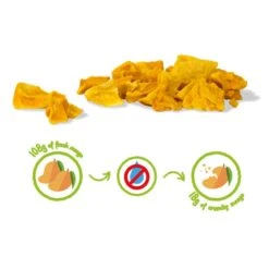 MANGUE CRUNCHY FRUIT BIO - 100% Mangues Biologiques Lyophilisées -Aptitude Équipement mangue crunchy fruit bio 100 mangues biologiques lyophilisees 2