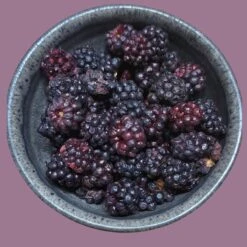 MÛRE CRUNCHY FRUIT BIO - 100% Mûres Biologiques Lyophilisées -Aptitude Équipement mure crunchy fruit bio 100 mures biologiques lyophilisees 1