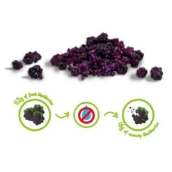 MÛRE CRUNCHY FRUIT BIO - 100% Mûres Biologiques Lyophilisées -Aptitude Équipement mure crunchy fruit bio 100 mures biologiques lyophilisees 2