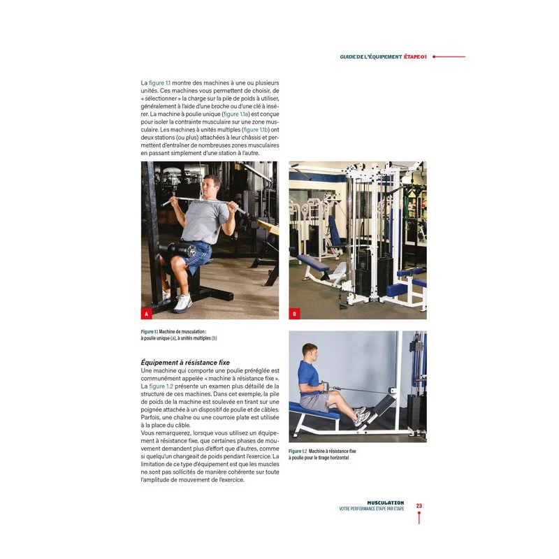 MUSCULATION - Votre Performance Étape Par Étape - 4TRAINER Editions 7 MUSCULATION - Votre Performance Étape Par Étape - 4TRAINER Editions – Image 5