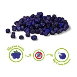 MYRTILLE CRUNCHY FRUIT BIO - 100% Myrtilles Biologiques Lyophilisées -Aptitude Équipement myrtille crunchy fruit bio 100 myrtilles biologiques lyophilisees 2