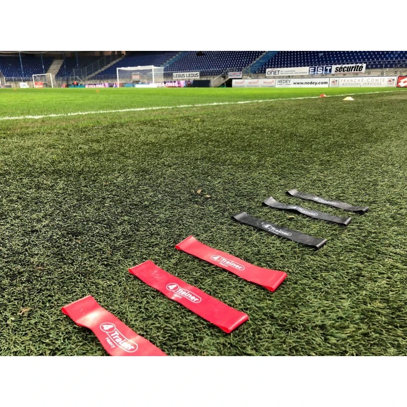 Pack Flat Bands 4Trainer - Mini Bandes élastiques Plates 5 Pack Flat Bands 4Trainer - Mini Bandes élastiques Plates – Image 3