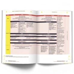 PERFORMANCE GAMING 2.0 - L'Entraînement Des Pros De L'E-SPORT - 4TRAINER Editions -Aptitude Équipement performance gaming 20 l entrainement des pros de l e sport 4trainer editions 7