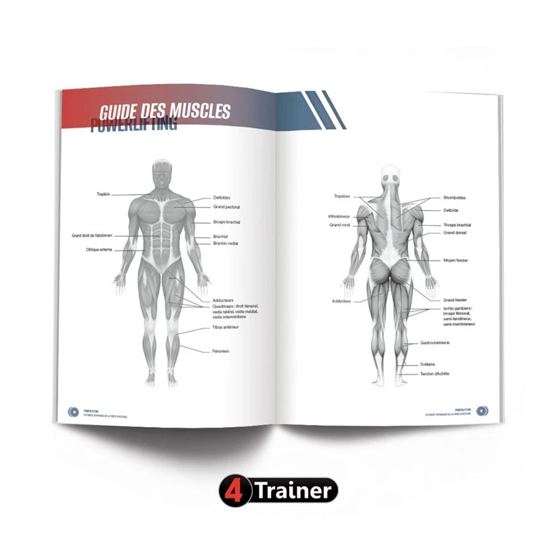 POWERLIFTING - Les Bases Techniques De La Force Athlétique - 4TRAINER EDITIONS 4 POWERLIFTING - Les Bases Techniques De La Force Athlétique - 4TRAINER EDITIONS – Image 2