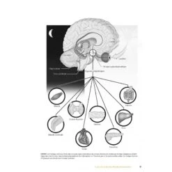 Programmation De L'entraînement -Aptitude Équipement programmation de l entrainement 1 2