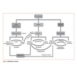 WORKOUT - Pour Un Entraînement Plus Intelligent - 4TRAINER Editions 15 WORKOUT - Pour Un Entraînement Plus Intelligent - 4TRAINER Editions -Aptitude Équipement workout pour un entrainement plus intelligent 2