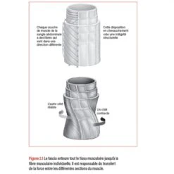 WORKOUT - Pour Un Entraînement Plus Intelligent - 4TRAINER Editions 16 WORKOUT - Pour Un Entraînement Plus Intelligent - 4TRAINER Editions -Aptitude Équipement workout pour un entrainement plus intelligent 3