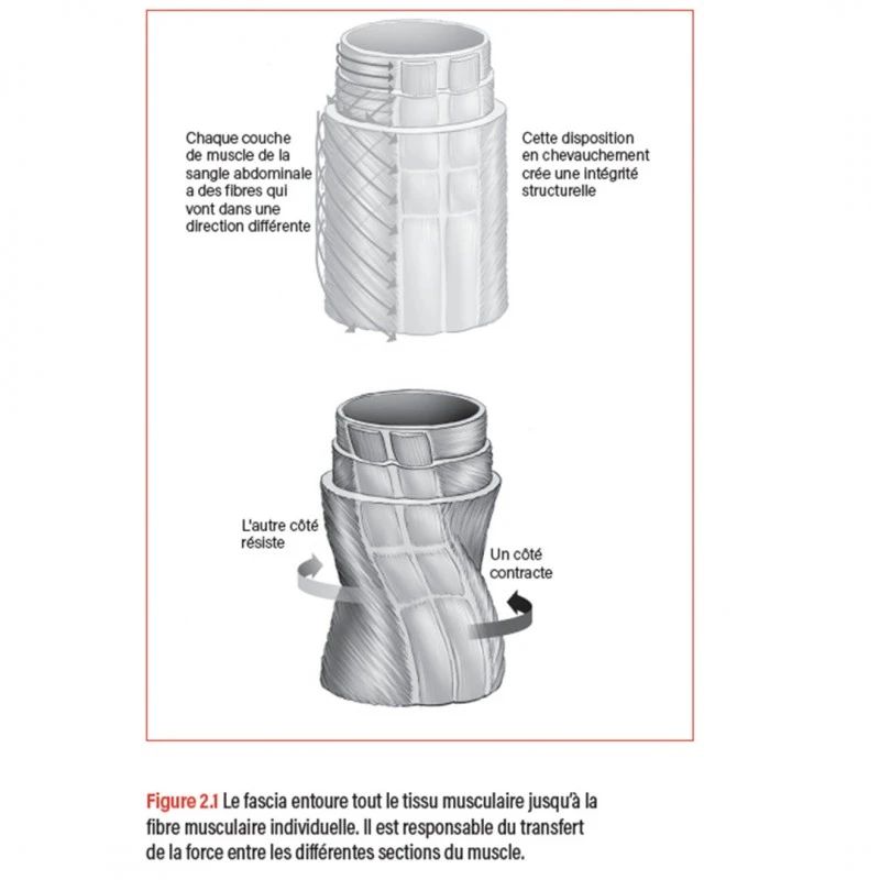 WORKOUT - Pour Un Entraînement Plus Intelligent - 4TRAINER Editions 6 WORKOUT - Pour Un Entraînement Plus Intelligent - 4TRAINER Editions – Image 4