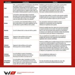 WORKOUT - Pour Un Entraînement Plus Intelligent - 4TRAINER Editions 22 WORKOUT - Pour Un Entraînement Plus Intelligent - 4TRAINER Editions -Aptitude Équipement workout pour un entrainement plus intelligent 9