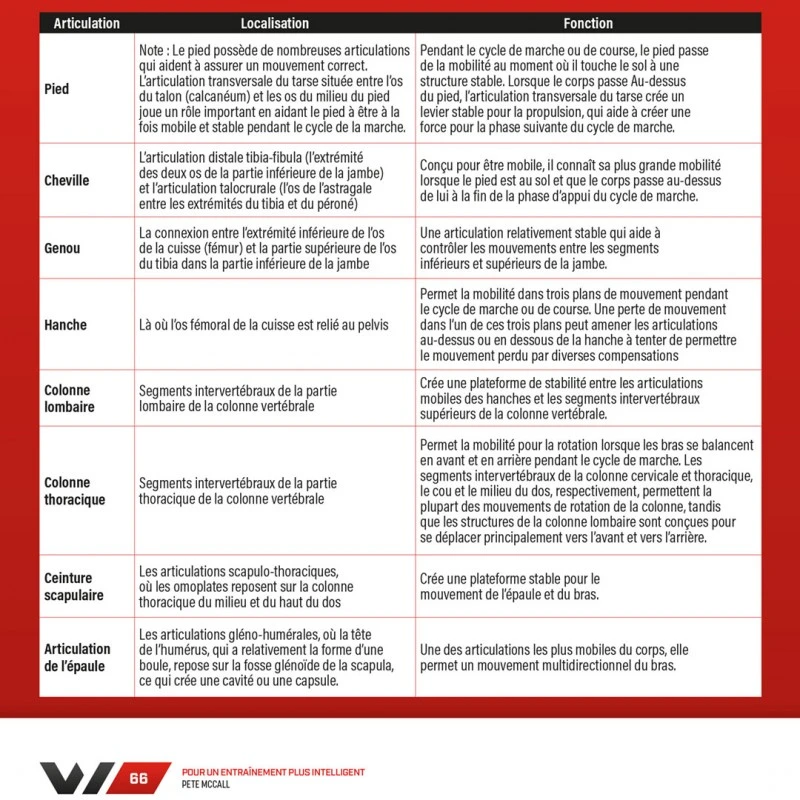WORKOUT - Pour Un Entraînement Plus Intelligent - 4TRAINER Editions 12 WORKOUT - Pour Un Entraînement Plus Intelligent - 4TRAINER Editions – Image 10